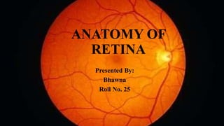 ANATOMY OF
RETINA
Presented By:
Bhawna
Roll No. 25
 