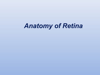 Anatomy of Retina
 