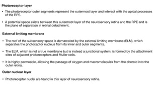 ANATOMY OF RETINA and not physiology of eyepdf | PDF