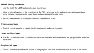 ANATOMY OF RETINA and not physiology of eyepdf | PDF