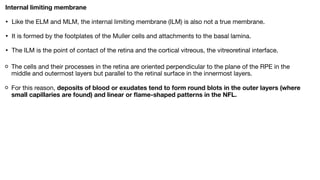 ANATOMY OF RETINA and not physiology of eyepdf | PDF