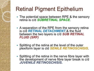 Retinal Splitting anatomyofretina2-200507105652and dev.pdf