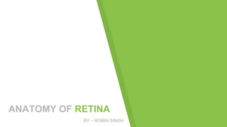 ANATOMY OF RETINA
BY – ROBIN SINGH
 
