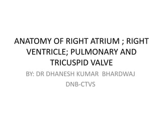 ANATOMY OF RIGHT ATRIUM ; RIGHT
VENTRICLE; PULMONARY AND
TRICUSPID VALVE
BY: DR DHANESH KUMAR BHARDWAJ
DNB-CTVS
 