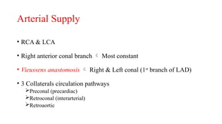 Anatomy of Right Atrium and Right Ventricle- Dr. Garv.pptx