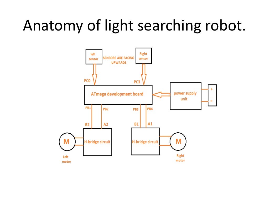 Anatomy of robot