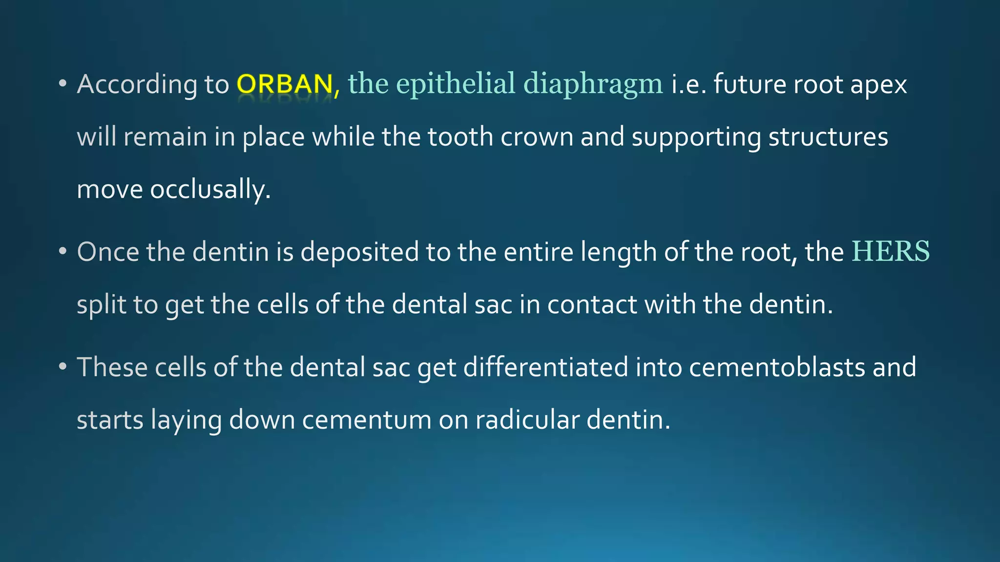 , the epithelial diaphragm
HERS
 