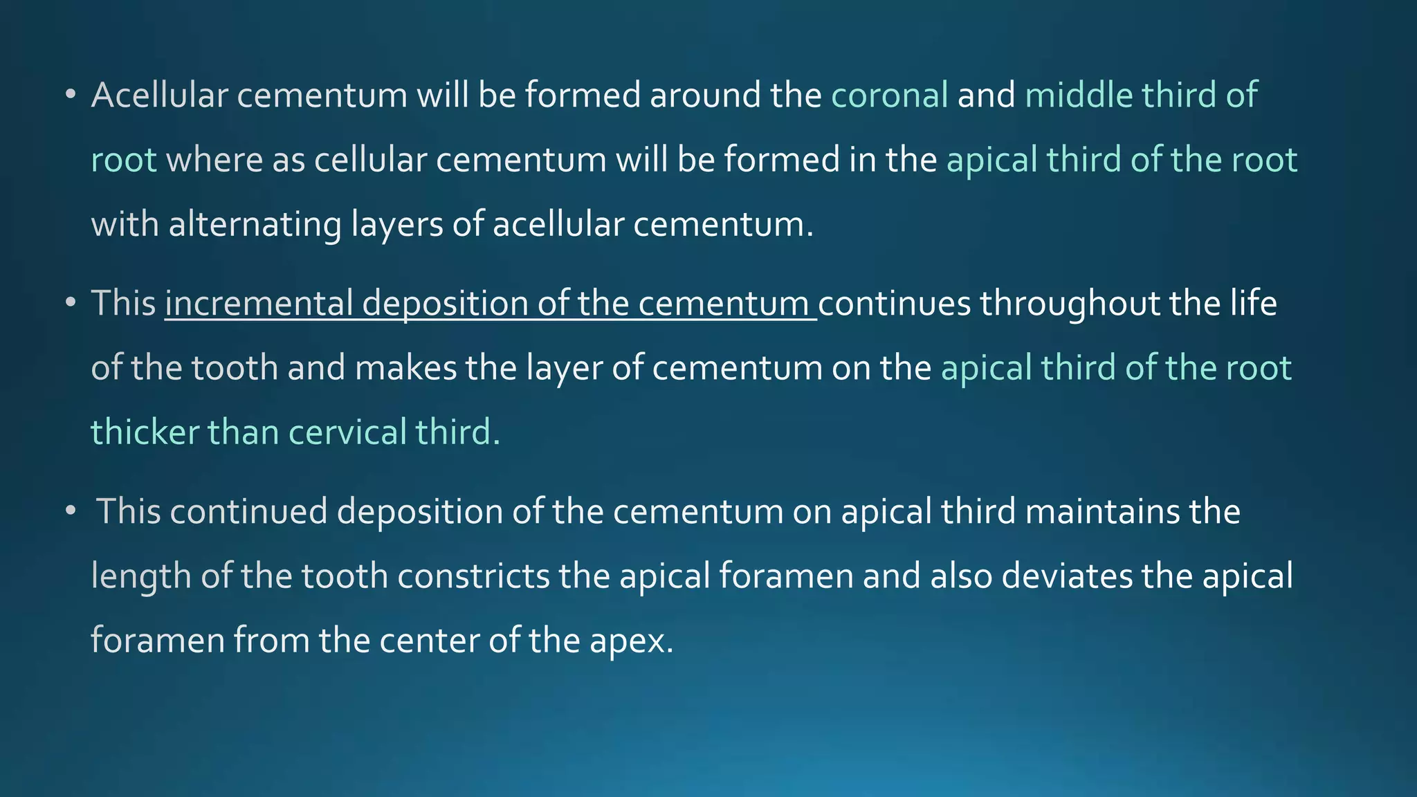 coronal middle third of
root apical third of the root
apical third of the root
thicker than cervical third.
 