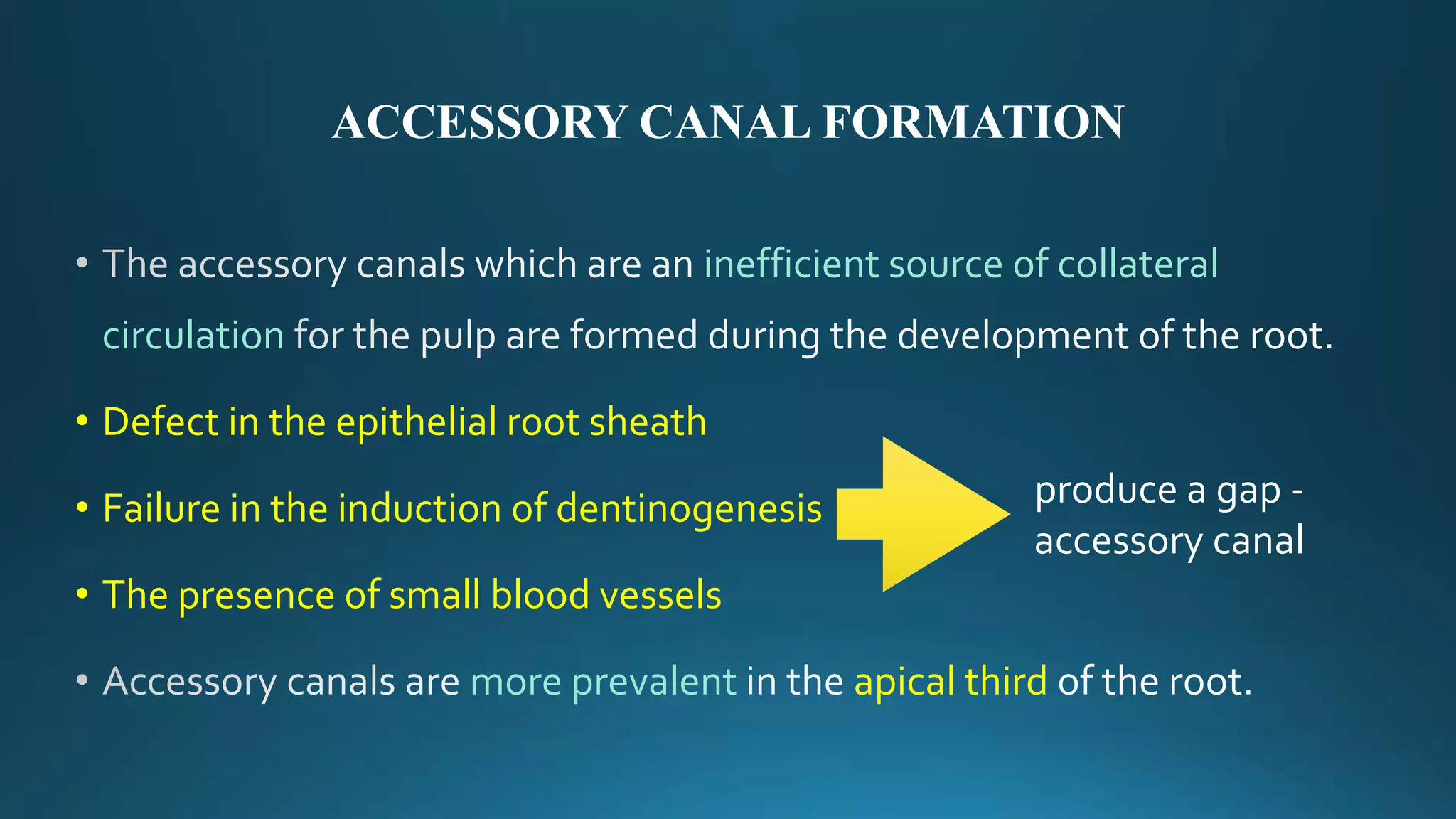 ACCESSORY CANAL FORMATION
inefficient source of collateral
circulation
• Defect in the epithelial root sheath
• Failure in the induction of dentinogenesis
• The presence of small blood vessels
more prevalent apical third
produce a gap -
accessory canal
 