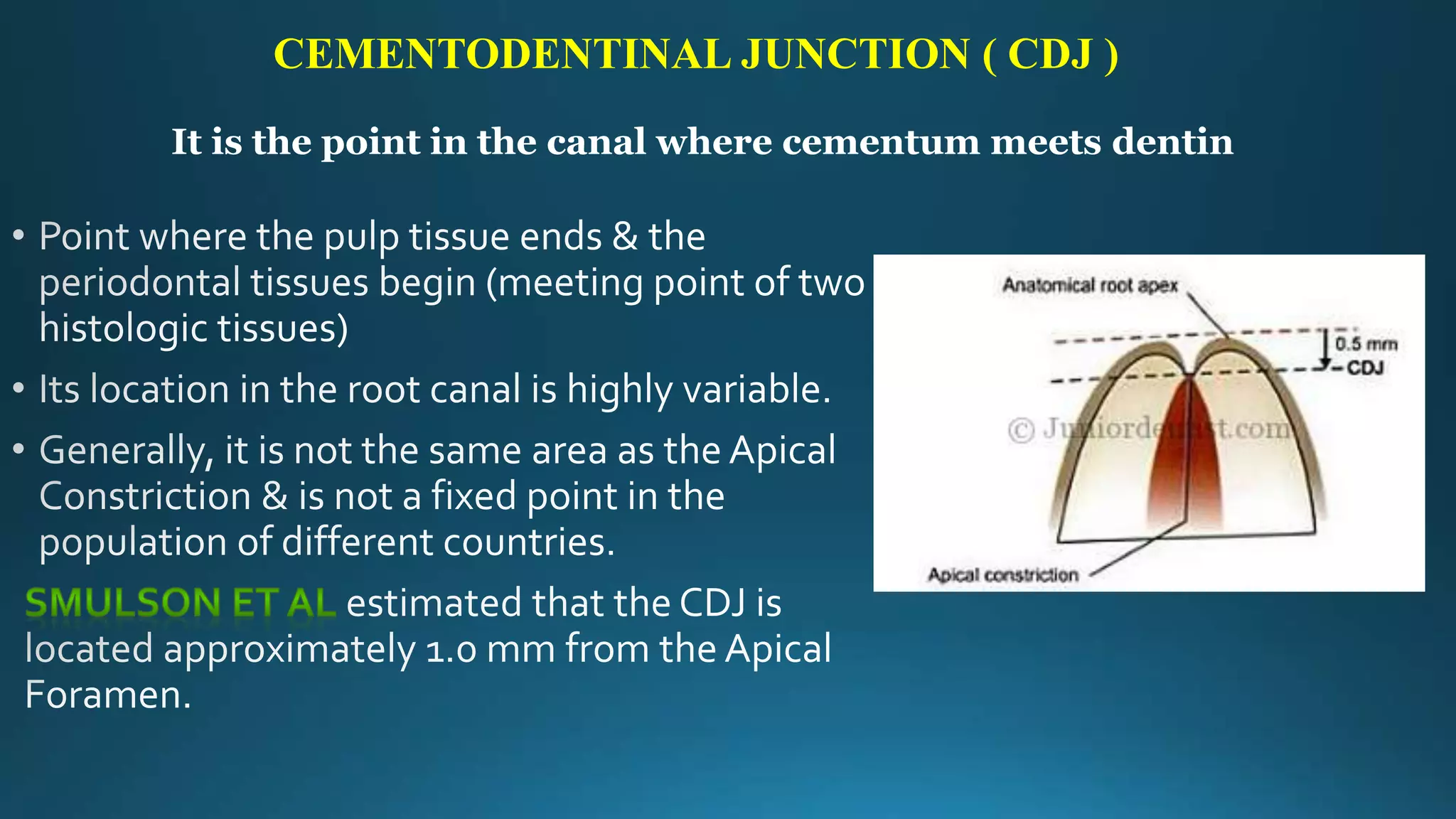 CEMENTODENTINAL JUNCTION ( CDJ )
It is the point in the canal where cementum meets dentin
 