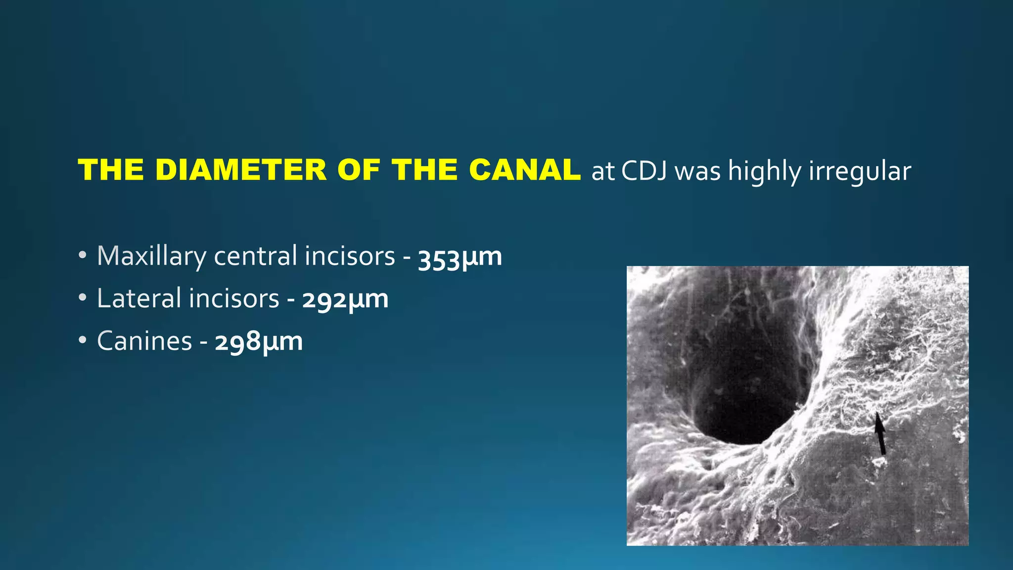 THE DIAMETER OF THE CANAL
 