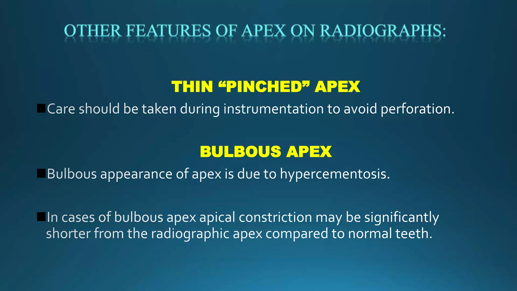 THIN “PINCHED” APEX
BULBOUS APEX
 