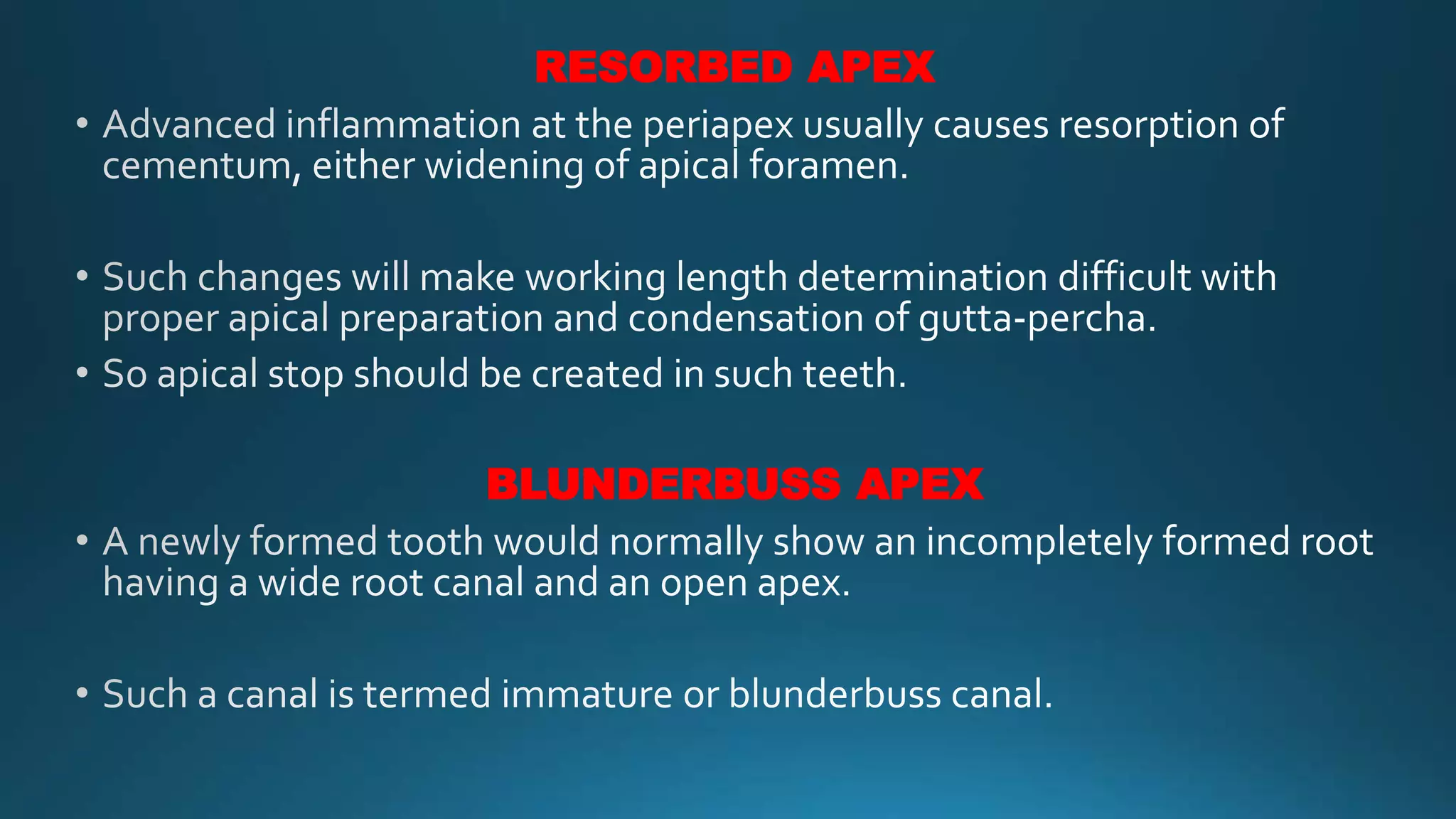 RESORBED APEX
BLUNDERBUSS APEX
 