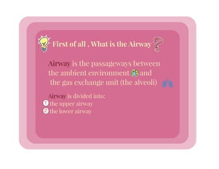 Anatomy of Respiratory System