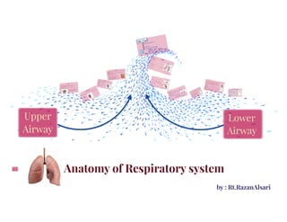 Anatomy of Respiratory System