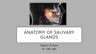 ANATOMY OF SALIVARY
GLANDS
Mazoun Al Alawi
R1- ORL H&S
 