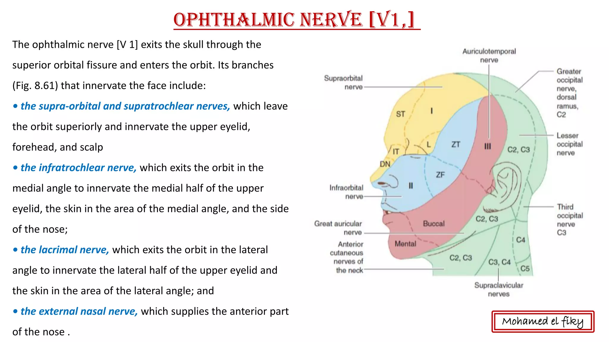 The ophthalmic nerve [V 1] exits the skull through the
superior orbital fissure and enters the orbit. Its branches
(Fig. 8.61) that innervate the face include:
• the supra-orbital and supratrochlear nerves, which leave
the orbit superiorly and innervate the upper eyelid,
forehead, and scalp
• the infratrochlear nerve, which exits the orbit in the
medial angle to innervate the medial half of the upper
eyelid, the skin in the area of the medial angle, and the side
of the nose;
• the lacrimal nerve, which exits the orbit in the lateral
angle to innervate the lateral half of the upper eyelid and
the skin in the area of the lateral angle; and
• the external nasal nerve, which supplies the anterior part
of the nose .
Ophthalmic nerve [V1,]
Mohamed el fiky
 