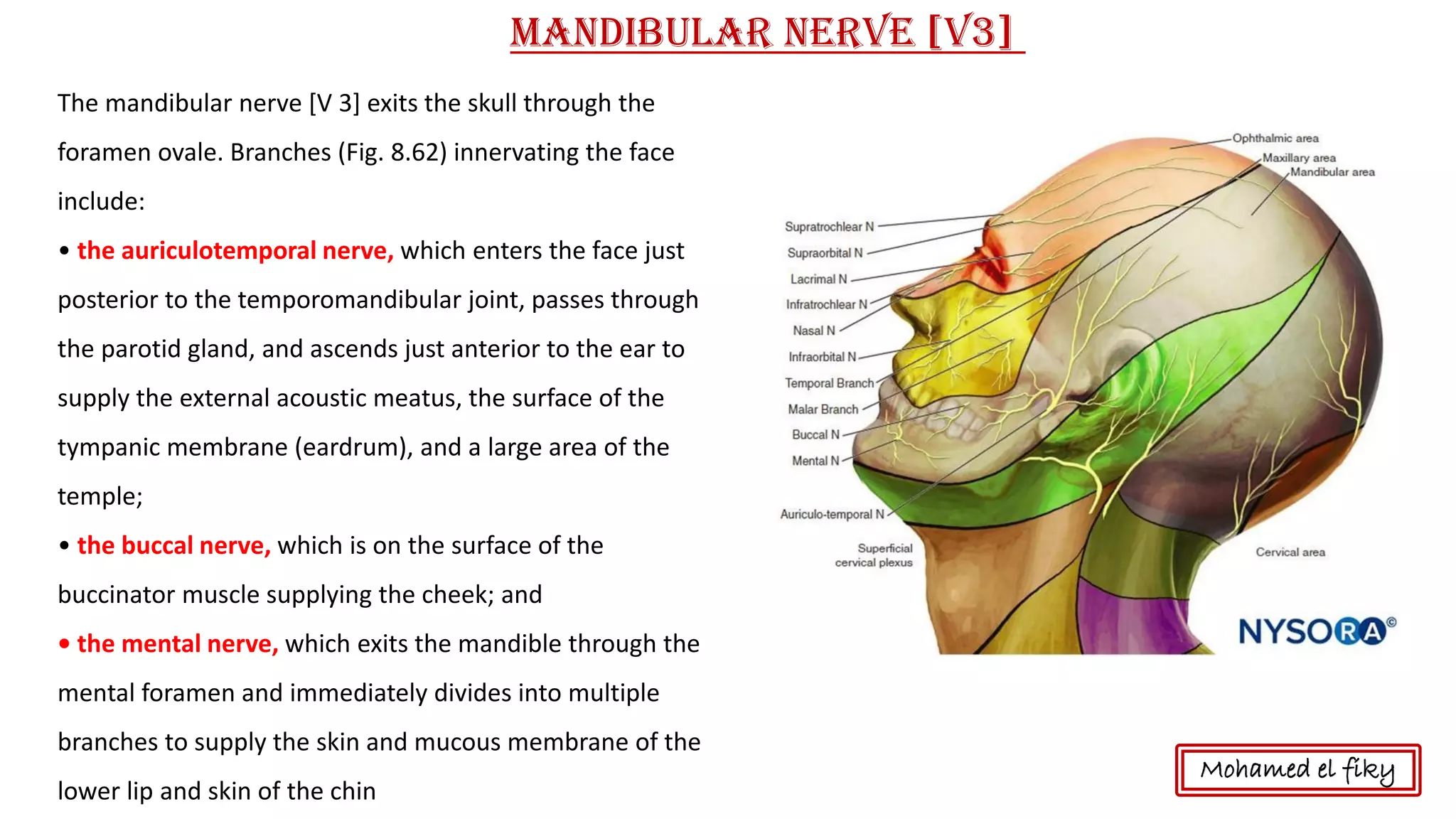 The mandibular nerve [V 3] exits the skull through the
foramen ovale. Branches (Fig. 8.62) innervating the face
include:
• the auriculotemporal nerve, which enters the face just
posterior to the temporomandibular joint, passes through
the parotid gland, and ascends just anterior to the ear to
supply the external acoustic meatus, the surface of the
tympanic membrane (eardrum), and a large area of the
temple;
• the buccal nerve, which is on the surface of the
buccinator muscle supplying the cheek; and
• the mental nerve, which exits the mandible through the
mental foramen and immediately divides into multiple
branches to supply the skin and mucous membrane of the
lower lip and skin of the chin
Mandibular nerve [V3]
Mohamed el fiky
 
