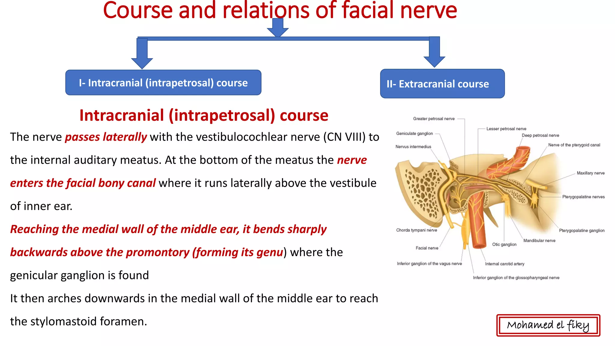 Course and relations of facial nerve
Intracranial (intrapetrosal) course
The nerve passes laterally with the vestibulocochlear nerve (CN VIII) to
the internal auditary meatus. At the bottom of the meatus the nerve
enters the facial bony canal where it runs laterally above the vestibule
of inner ear.
Reaching the medial wall of the middle ear, it bends sharply
backwards above the promontory (forming its genu) where the
genicular ganglion is found
It then arches downwards in the medial wall of the middle ear to reach
the stylomastoid foramen. Mohamed el fiky
I- Intracranial (intrapetrosal) course II- Extracranial course
 