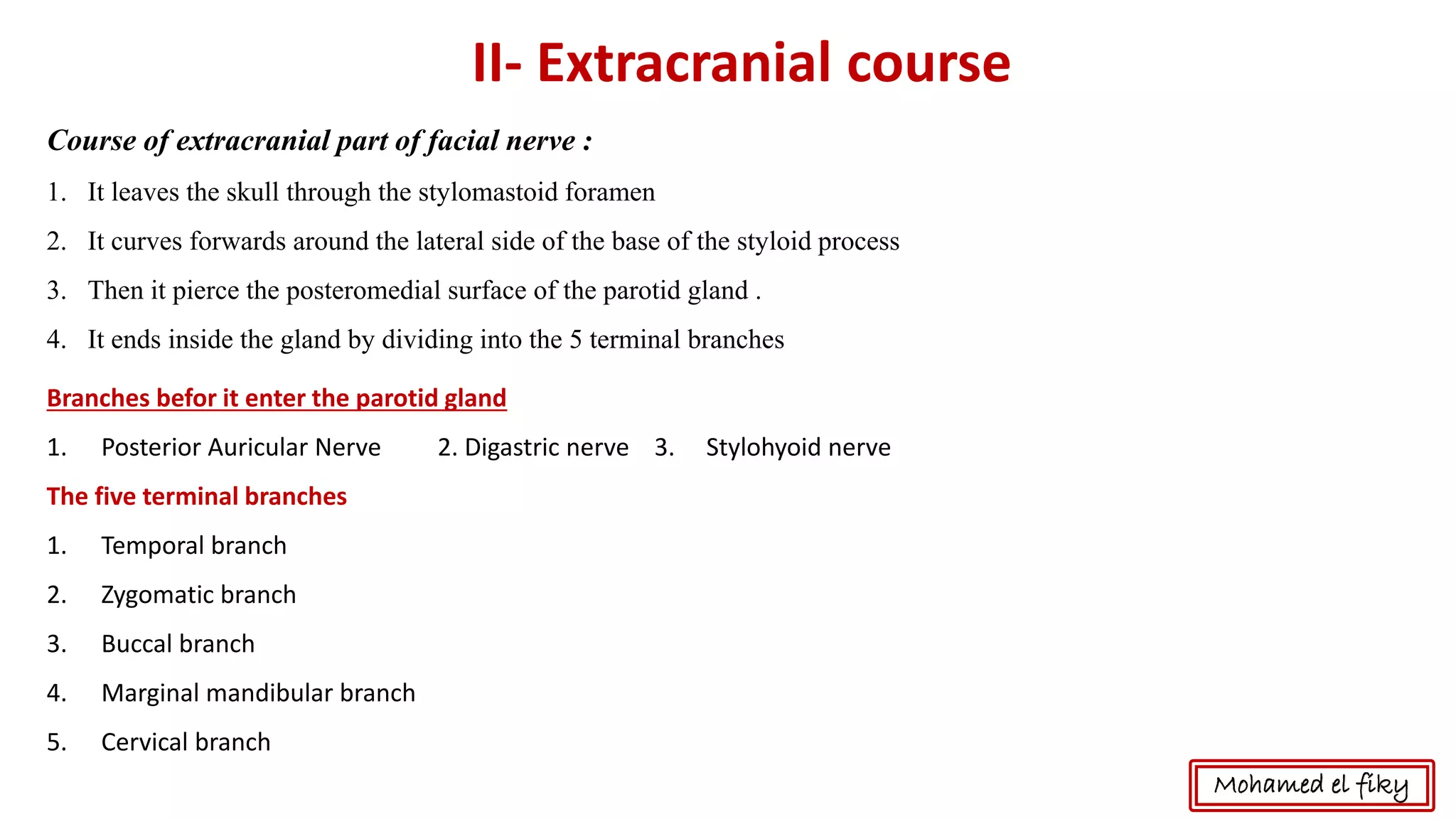 II- Extracranial course
Branches befor it enter the parotid gland
1. Posterior Auricular Nerve 2. Digastric nerve 3. Stylohyoid nerve
The five terminal branches
1. Temporal branch
2. Zygomatic branch
3. Buccal branch
4. Marginal mandibular branch
5. Cervical branch
Mohamed el fiky
Course of extracranial part of facial nerve :
1. It leaves the skull through the stylomastoid foramen
2. It curves forwards around the lateral side of the base of the styloid process
3. Then it pierce the posteromedial surface of the parotid gland .
4. It ends inside the gland by dividing into the 5 terminal branches
 