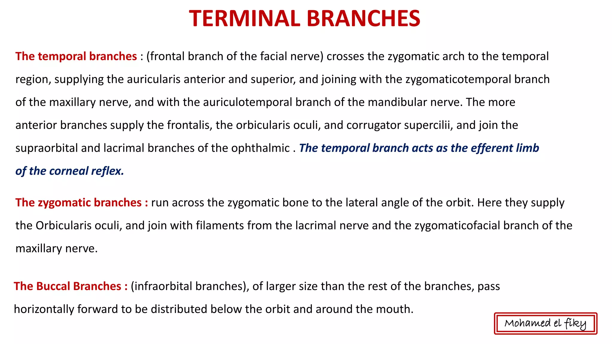 TERMINAL BRANCHES
The temporal branches : (frontal branch of the facial nerve) crosses the zygomatic arch to the temporal
region, supplying the auricularis anterior and superior, and joining with the zygomaticotemporal branch
of the maxillary nerve, and with the auriculotemporal branch of the mandibular nerve. The more
anterior branches supply the frontalis, the orbicularis oculi, and corrugator supercilii, and join the
supraorbital and lacrimal branches of the ophthalmic . The temporal branch acts as the efferent limb
of the corneal reflex.
The zygomatic branches : run across the zygomatic bone to the lateral angle of the orbit. Here they supply
the Orbicularis oculi, and join with filaments from the lacrimal nerve and the zygomaticofacial branch of the
maxillary nerve.
The Buccal Branches : (infraorbital branches), of larger size than the rest of the branches, pass
horizontally forward to be distributed below the orbit and around the mouth.
Mohamed el fiky
 