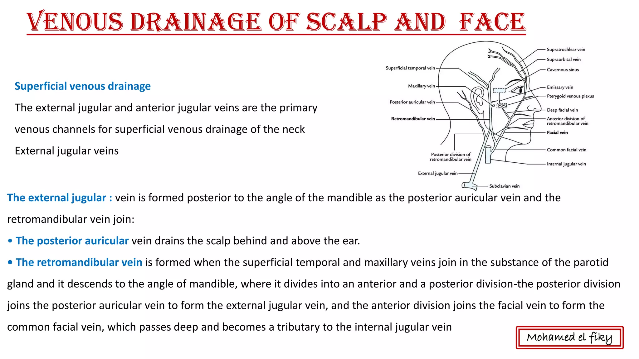 Venous drainage of scalp and Face
Superficial venous drainage
The external jugular and anterior jugular veins are the primary
venous channels for superficial venous drainage of the neck
External jugular veins
The external jugular : vein is formed posterior to the angle of the mandible as the posterior auricular vein and the
retromandibular vein join:
• The posterior auricular vein drains the scalp behind and above the ear.
• The retromandibular vein is formed when the superficial temporal and maxillary veins join in the substance of the parotid
gland and it descends to the angle of mandible, where it divides into an anterior and a posterior division-the posterior division
joins the posterior auricular vein to form the external jugular vein, and the anterior division joins the facial vein to form the
common facial vein, which passes deep and becomes a tributary to the internal jugular vein
Mohamed el fiky
 