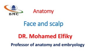 Face and scalp
Anatomy
DR. Mohamed Elfiky
Professor of anatomy and embryology
 