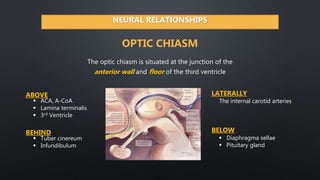 Anatomy of the Sellar Region (A.GH) | PPTX