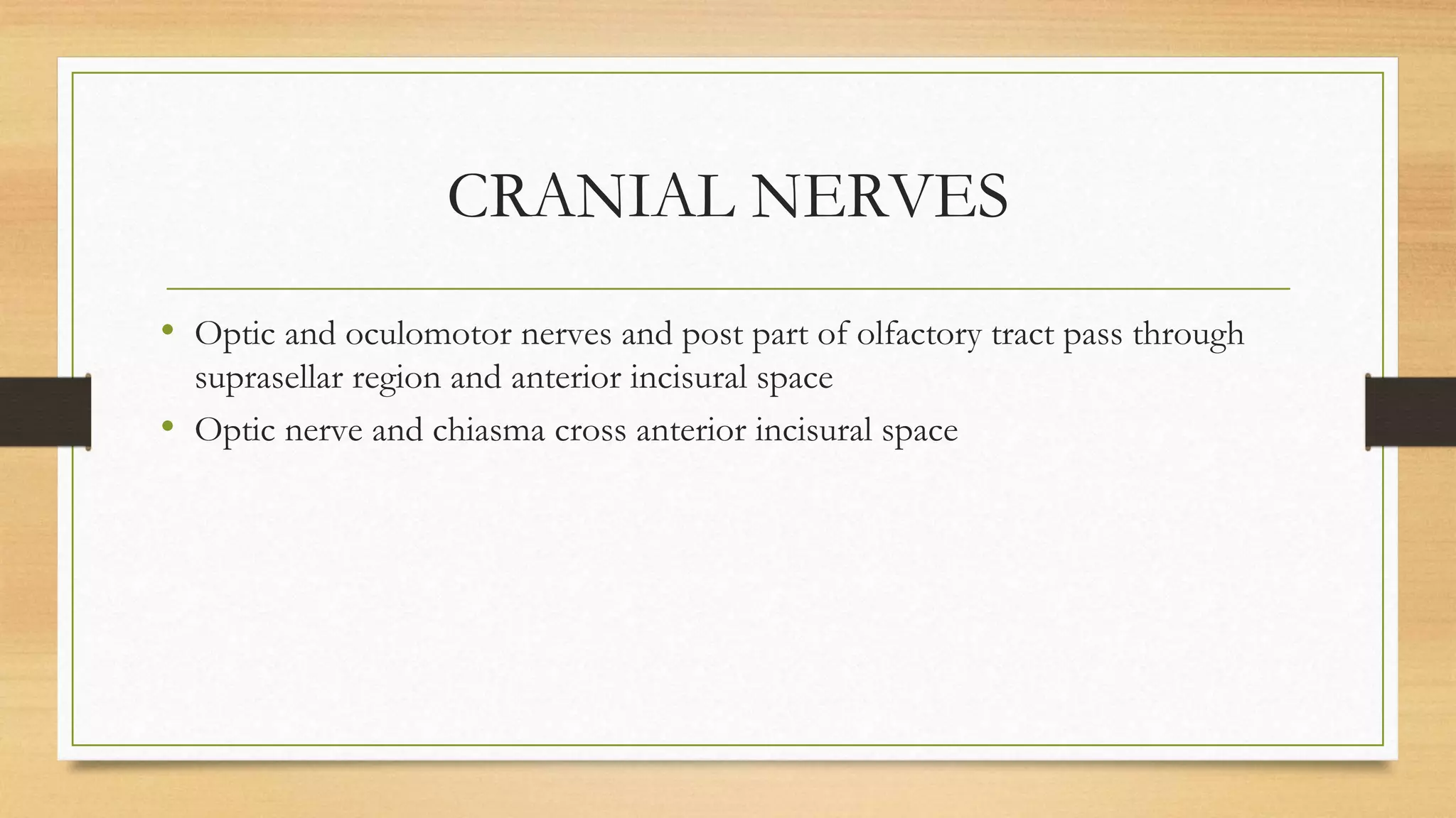 Anatomy of sellar suprasellar region | PPT