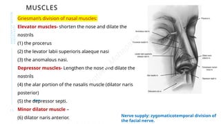 Septor Rhinolasty Comprehensive Anatomy of Septorhinoplasty for Surgical Precision | PPTX