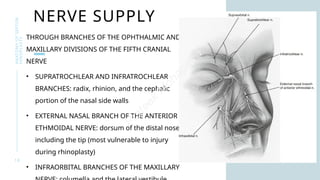 Septor Rhinolasty Comprehensive Anatomy of Septorhinoplasty for Surgical Precision | PPTX