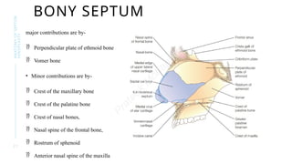 Septor Rhinolasty Comprehensive Anatomy of Septorhinoplasty for Surgical Precision | PPTX