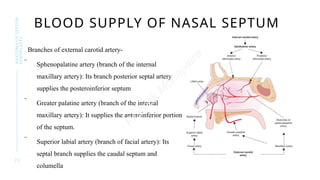 Septor Rhinolasty Comprehensive Anatomy of Septorhinoplasty for Surgical Precision | PPTX
