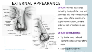 Comprehensive Anatomy of Septorhinoplasty for Surgical Precision | PPTX