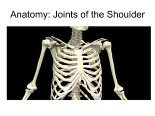 Anatomy: Joints of the Shoulder 