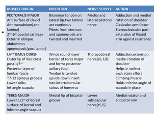 anatomy-of-shoulder-joint-vamshi-kiran-ppt