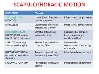 anatomy-of-shoulder-joint-vamshi-kiran-ppt