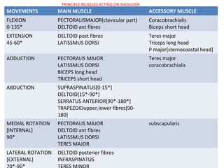 anatomy-of-shoulder-joint-vamshi-kiran-ppt