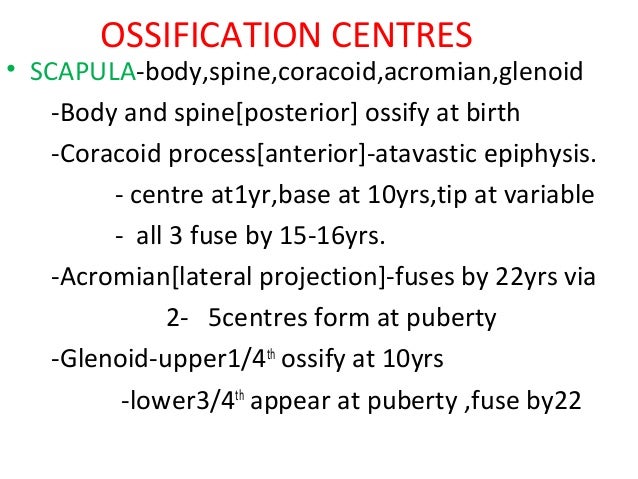 Anatomy of shoulder joint - vamshi kiran