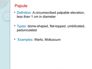 Anatomy of Skin-1.pptx detailed description of layers of skin | PPTX