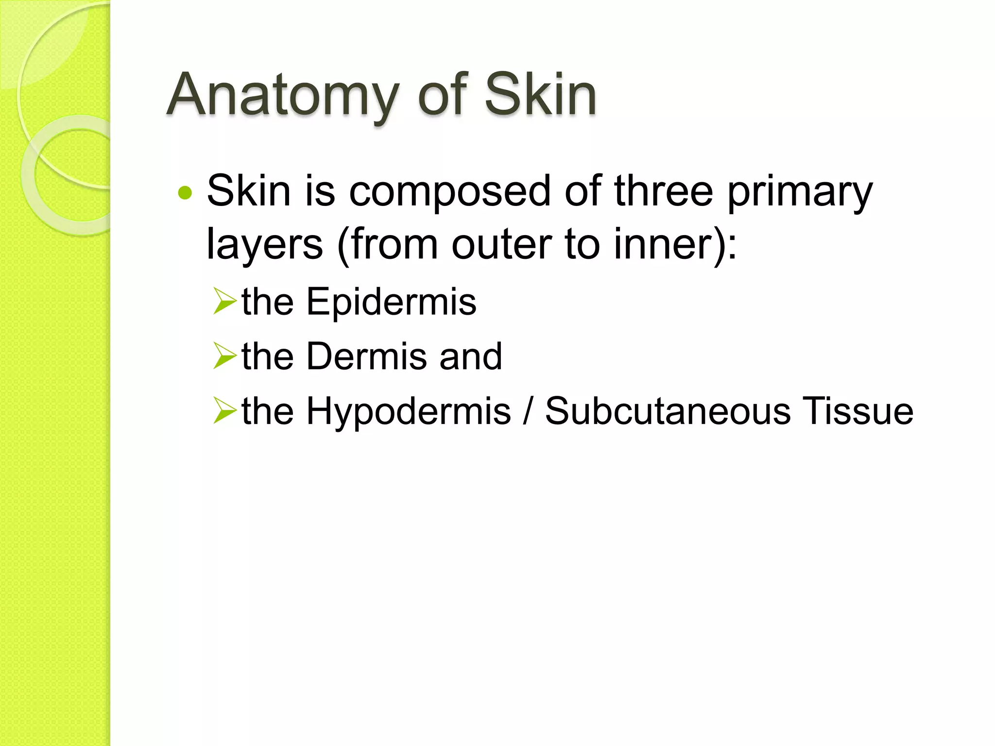 Anatomy of skin | PPTX
