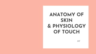 ANATOMY OF
SKIN
& PHYSIOLOGY
OF TOUCH
AY
 