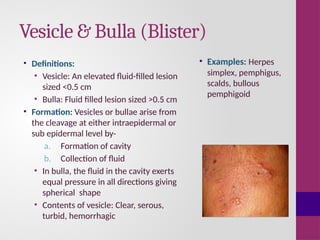 Anatomy of skin and basic skin lesions.pptx