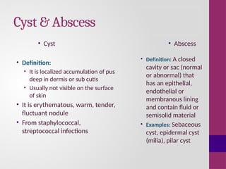 Anatomy of skin and basic skin lesions.pptx