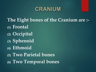 The Eight bones of the Cranium are :-
(1) Frontal
(2) Occipital
(3) Sphenoid
(4) Ethmoid
(5) Two Parietal bones
(6) Two Temporal bones
 