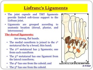 Dr M Eladl
Lisfranc’s Ligaments
• The joint capsule and TMT ligaments
provide limited soft-tissue support to the
Lisfranc joint.
• Ligaments are grouped according to
anatomic location (dorsal, plantar, and
interosseous)
The dorsal ligaments:
Are strong, flat bands.
• The medial cuneiform is joined to the 1st
metatarsal the by a broad, thin band;
• The 2nd metatarsal has 3 ligaments; one
from each cuneiform
• The 3rd metatarsal has one ligament from
the lateral cuneiform;
• The 4th has one from the cuboid; and
• The 5th has one from the cuboid.
Castro M et al. AJR 2010;195:W447-W455
 