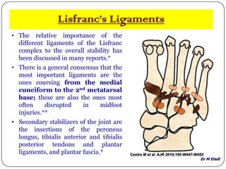 Dr M Eladl
Lisfranc’s Ligaments
• The relative importance of the
different ligaments of the Lisfranc
complex to the overall stability has
been discussed in many reports.*
• There is a general consensus that the
most important ligaments are the
ones coursing from the medial
cuneiform to the 2nd metatarsal
base; these are also the ones most
often disrupted in midfoot
injuries.**
• Secondary stabilizers of the joint are
the insertions of the peroneus
longus, tibialis anterior and tibialis
posterior tendons and plantar
ligaments, and plantar fascia.* Castro M et al. AJR 2010;195:W447-W455
 
