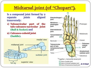 Dr M Eladl
Midtarsal joint (of “Chopart”).
Is a compound joint formed by 2
separate joints aligned
transversely:
1) Talonavicular part of the
talo-calcaneo-navicular joint
(Ball & Socket) and
2) Calcaneo-cuboid joint
(Saddle).
 