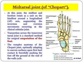 Dr M Eladl
Midtarsal joint (of “Chopart”).
- At this joint, the midfoot and
forefoot rotate as a unit on the
hindfoot around a longitudinal
(AP) axis, augmenting the
inversion and eversion
movements occurring at the
clinical subtalar joint.
- Transection across the transverse
tarsal joint is a standard method
for surgical amputation of the
foot.
- The complex anatomy of the
Chopart joint, optimally adapting
to uneven surfaces upon first heel
contact & forcefully pushing the
foot off the ground at the end of
the walk cycle.
 