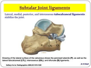 Dr M Eladl
Subtalar Joint ligaments
Lateral, medial, posterior, and interosseous talocalcaneal ligaments
stabilize the joint.
Daftary A et al. Radiographics 2005;25:1215-1226
Drawing of the lateral surface of the calcaneus shows the peroneal tubercle (P), as well as the
lateral talocalcaneal (LTL), interosseous (IOL), and bifurcate (B) ligaments.
 